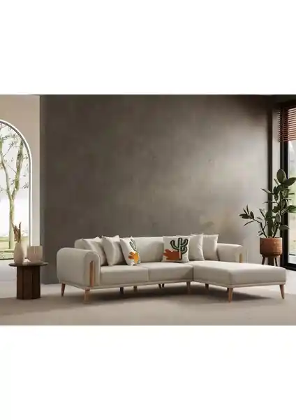 Ak Sofa Leon Köşe Koltuk Sağ Köşe Modern Tasarım ve Konfor Sunar