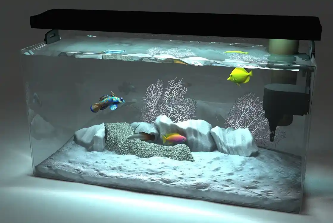 Akvaryum Dekorasyonu: Doğal ve Estetik Uygulamalarla Sağlıklı Akvaryumlar