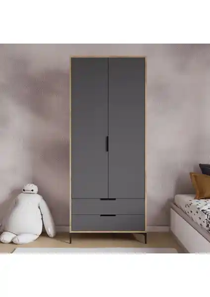 Alonex Aden 2 Kapaklı Antrasit Gardrop Modern ve Fonksiyonel Depolama Çözümü