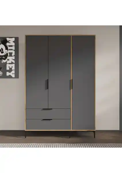 Alonex Aden 3 Kapaklı Çekmeceli Antrasit Gardırop Modern ve Fonksiyonel Tasarım