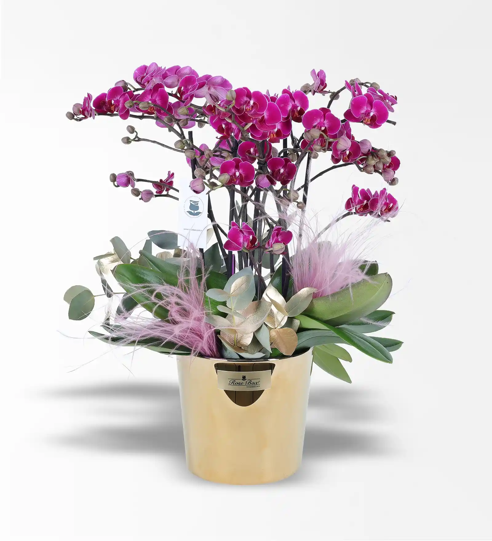 Altın Rengi Cam ile Dekorasyonda Zarif ve Modern Tasarım Çözümleri