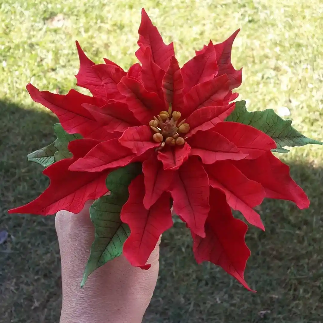 Atatürk Çiçeği: Dekorasyonda Renk ve Şıklığın Simgesi İç Mekan Bitkisi Rehberi