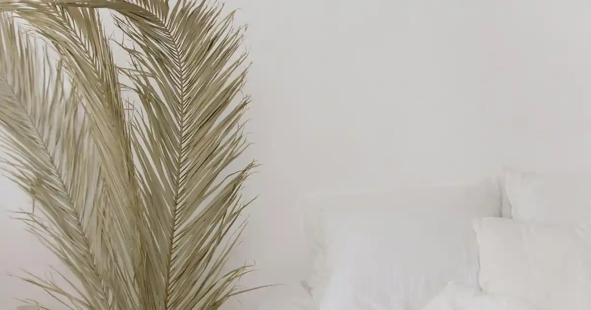 Ateş Orkide Dekorasyonunda Zarafet ve Sembollerin Güçlü Kullanımı