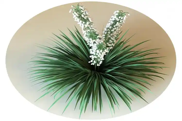 Avize Ağacı Dekorasyonunda Doğal ve Zarif Tasarım Çözümleri