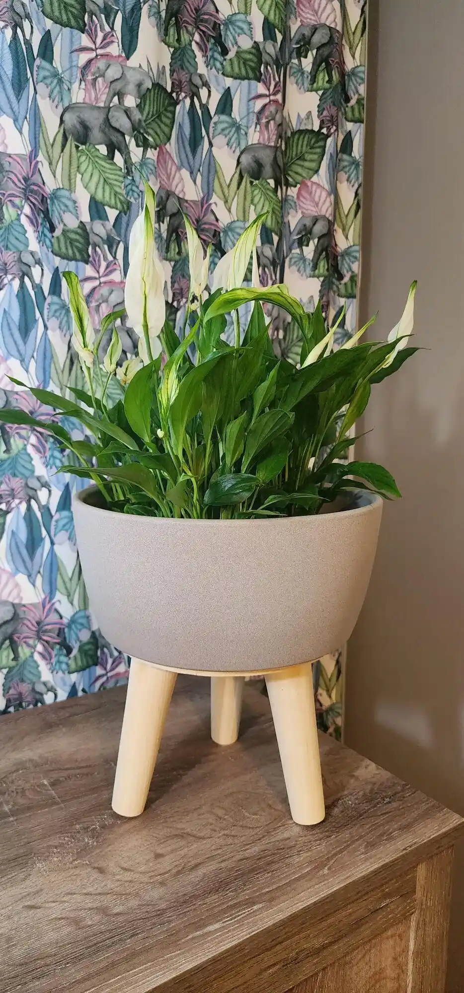 Ayaklı Seramik Saksılar ile Dekorasyonunuzu Modern ve Şık Hale Getirin