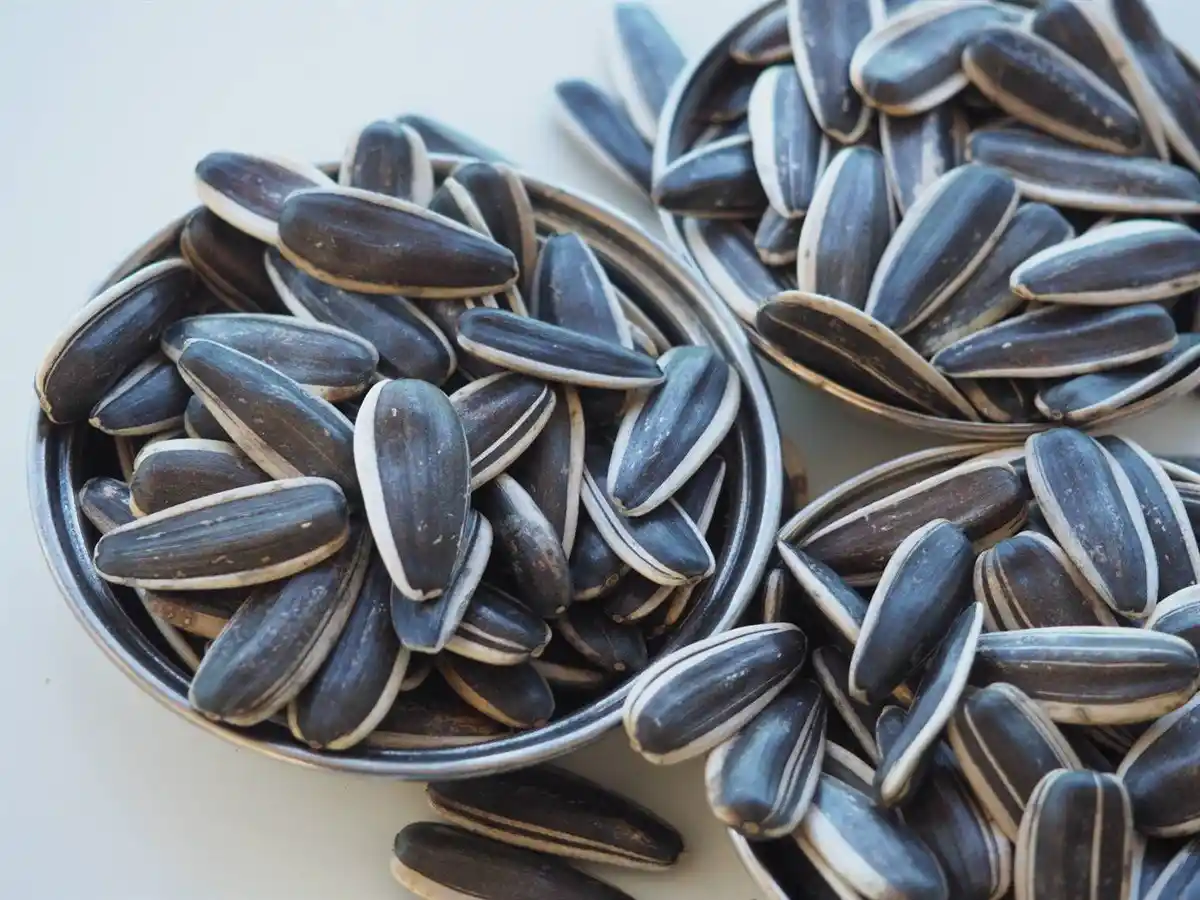 Ayçekirdeği Çiçeği ile Doğal ve Estetik Dekorasyon Fikirleri ve Uygulamaları