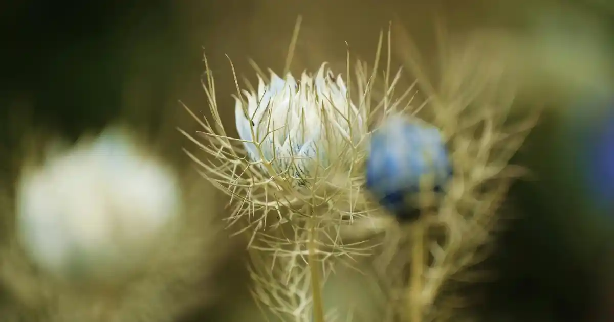 Aynalı Gold Duvar Saati ile Modern ve Şık Dekorasyon Çözümleri