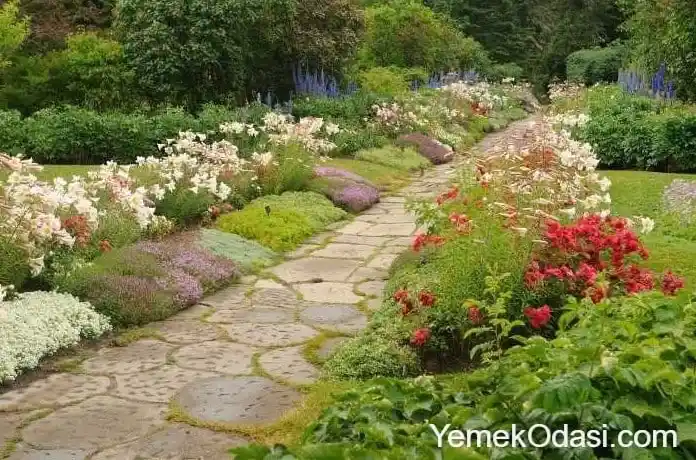 Bahçe Çiçekleriyle Dekorasyon: Renkli ve Doğal Bir Bahçe Tasarımı Rehberi