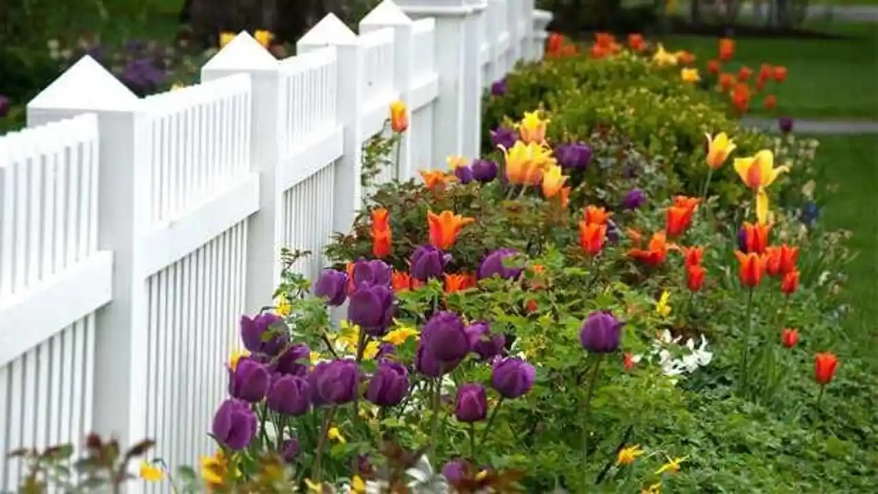 Bahçenizi Renkli ve Canlı Hale Getirecek En Güzel Çiçekler ve Dekorasyon İpuçları