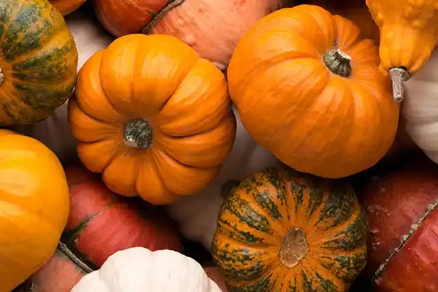 Balkabağıyla Dekorasyon: Son Trendler ve Yaratıcı Fikirlerle Mevsimlik Şıklık