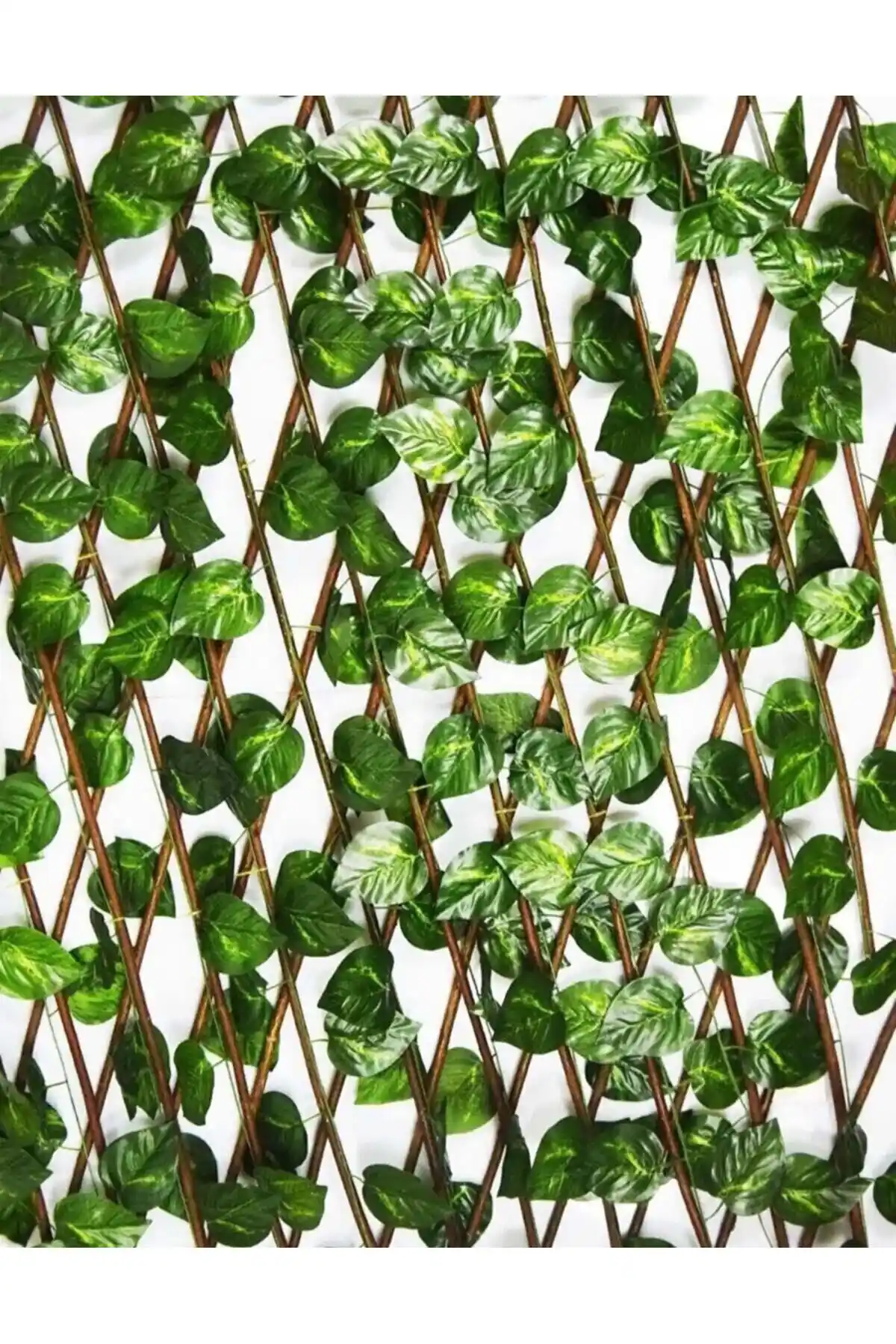 Balkon ve Bahçe Dekorasyonunda Yaprak Çitleri ile Doğal ve Güvenli Alanlar Oluşturma