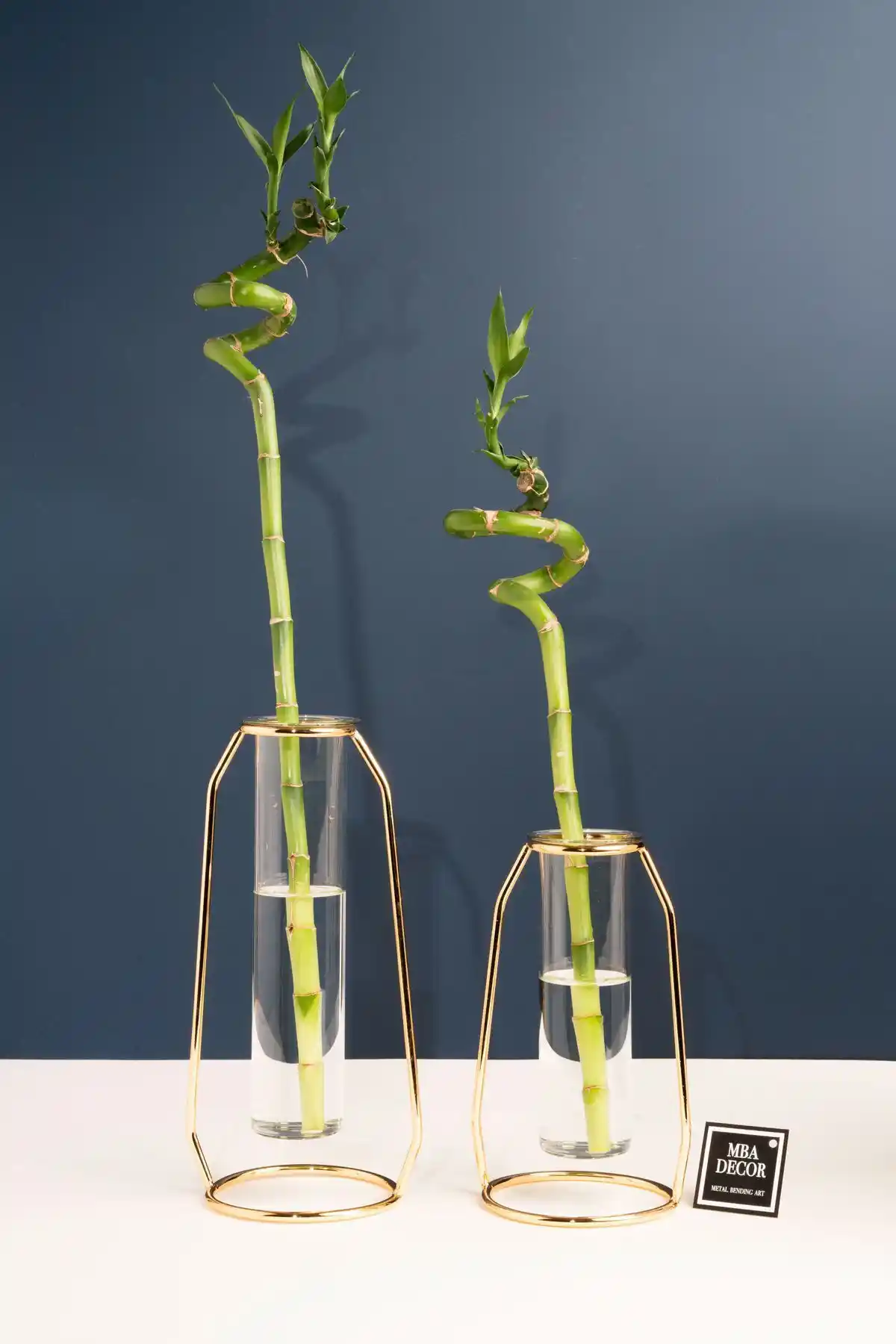 Bambu Saksısı ve Cam Malzeme ile Modern ve Doğal Dekorasyon Çözümleri