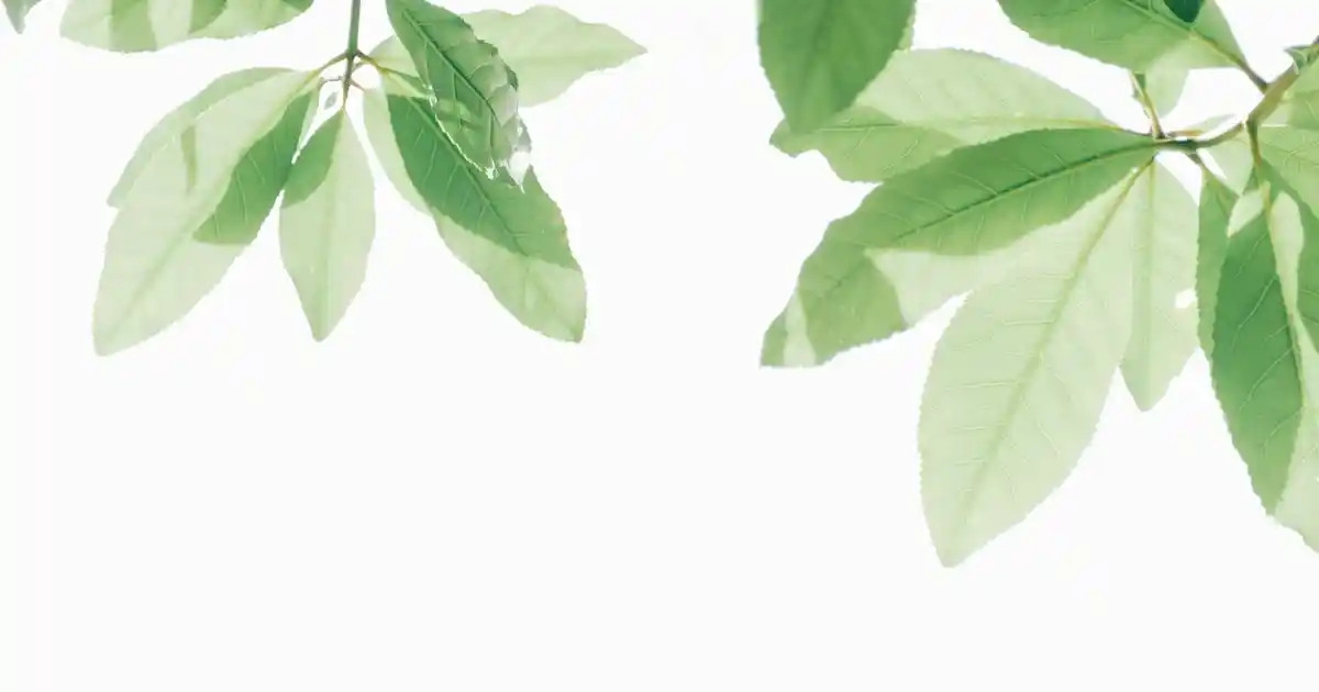 Beşik Nevresim Takımı Seçimi ve Dekorasyonda Kullanım İpuçları