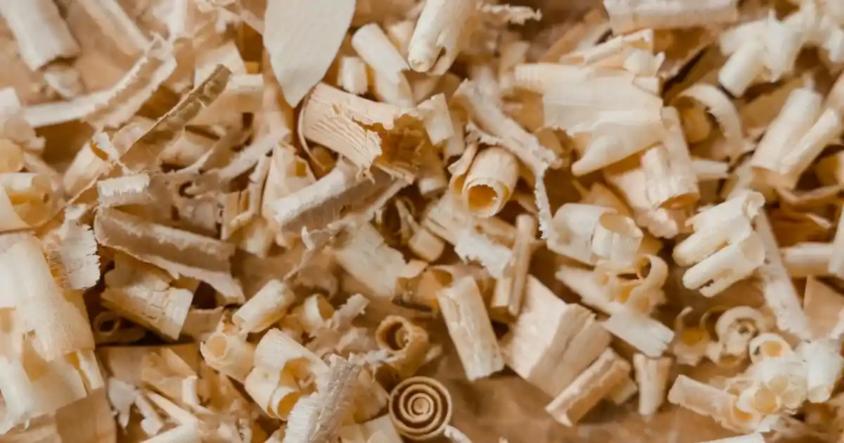 Beyaz Banyo Havlusu ile Dekorasyonunuzu Şıklık ve Temizlikle Tamamlayın