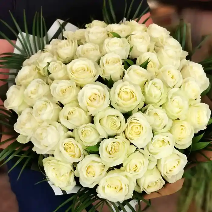 Beyaz Gül Dekorasyonda Zarafet ve Anlam Yüksekliği Sağlayan Bir Seçenektir