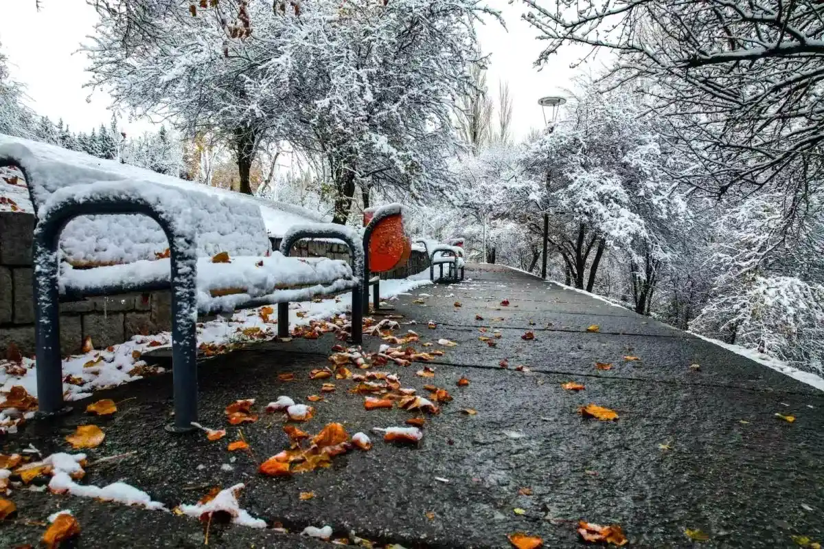 Beyaz Örtülerin Dekorasyondaki Rolü ve Seçim İpuçları
