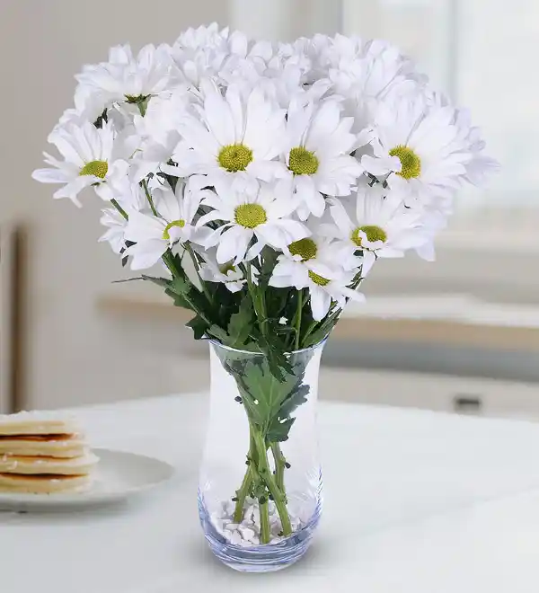 Beyaz Papatya Dekorasyonu: Doğadan İlham Alan Şıklık ve Zarafet