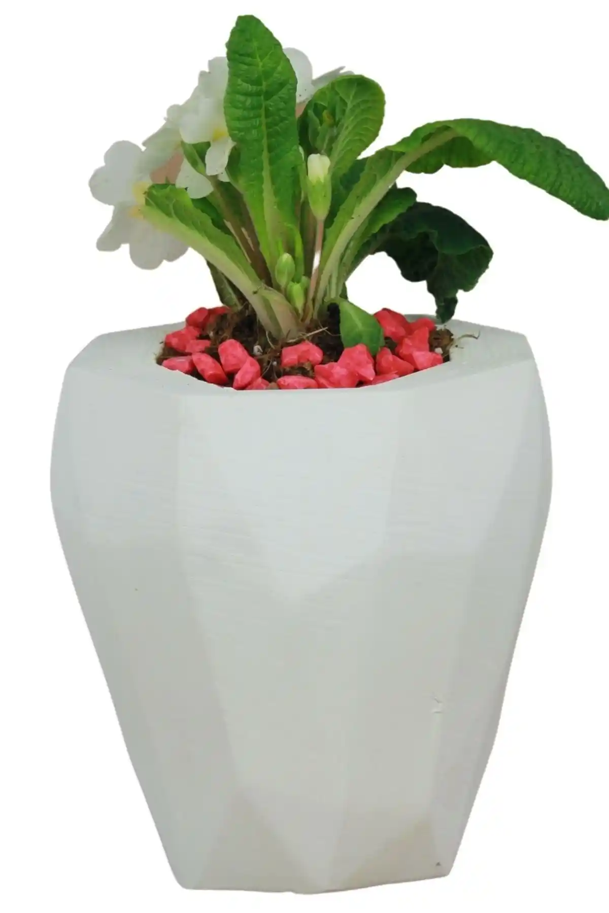 Beyaz Saksı ile Dekorasyonunuzu Yenileyin Modern ve Şık Mekanlar Yaratın