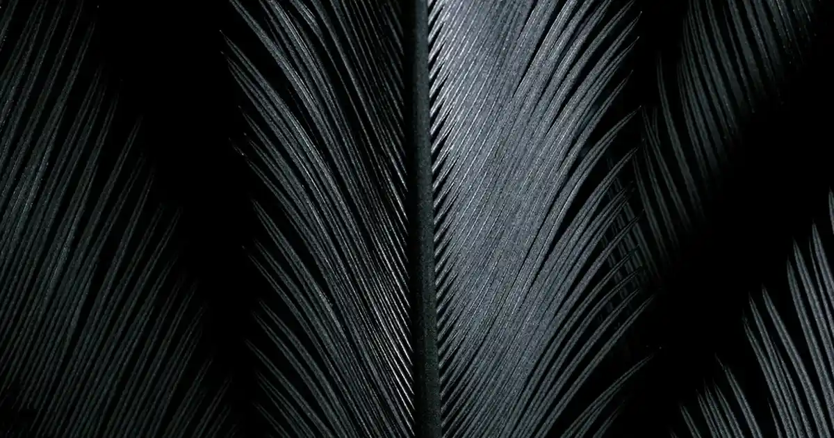 Boy Aynası Kullanımı ve Dekorasyonda Şıklık Sağlayan Faydaları