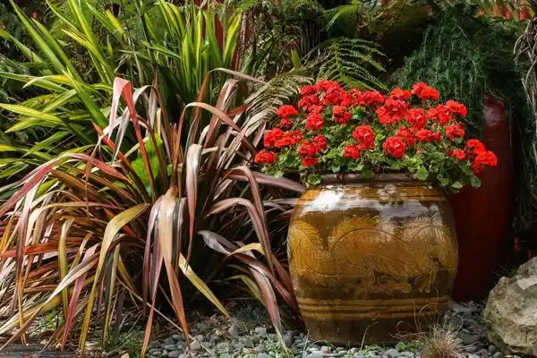 Büyük Saksı Çiçekleri ile Dekorasyonunuzu Geliştirme Rehberi