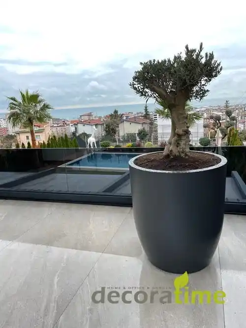 Büyük Saksı Dekorasyonunda Malzeme, Boyut ve Stil Seçenekleri Hakkında Kapsamlı Rehber