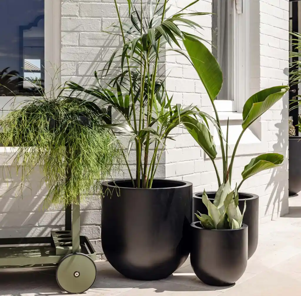 Büyük Saksı Modelleriyle Dekorasyonunuzu Yenileyin ve Mekanlarınıza Şıklık Katın