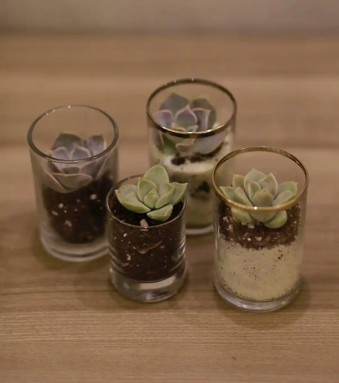 Cam Saksi Dekorasyonda Estetik ve İşlevselliği Bir Arada Sunar