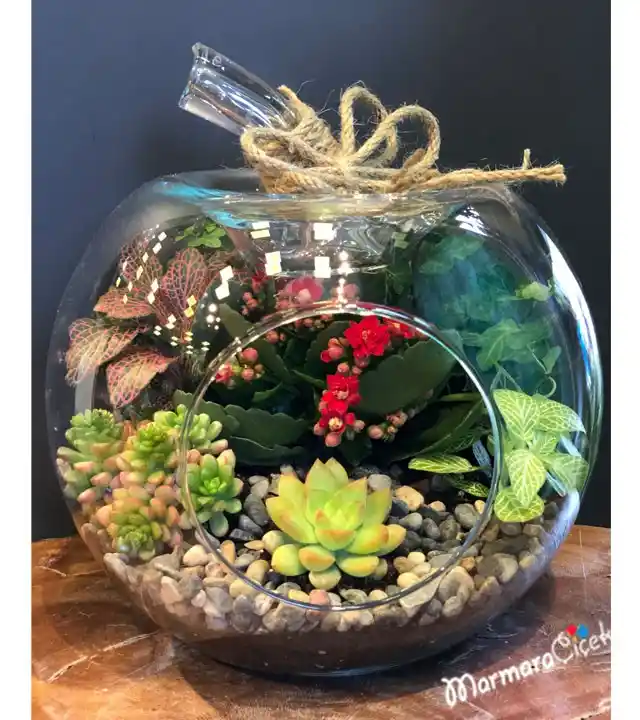 Cam Teraryum Dekorasyon Trendleri ve Farklı Modellerle Şık Mekanlar Yaratma