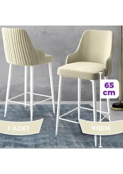 Canisa Concept Tera Serisi Mutfak ve Bar Sandalyesi Modern Tasarım Dayanıklı Malzeme