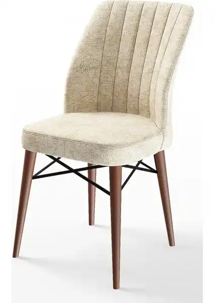 Canisa Flex Serisi Gürgen Ayaklı Modern ve Konforlu Sandalye Özellikleri ve Tasarımı