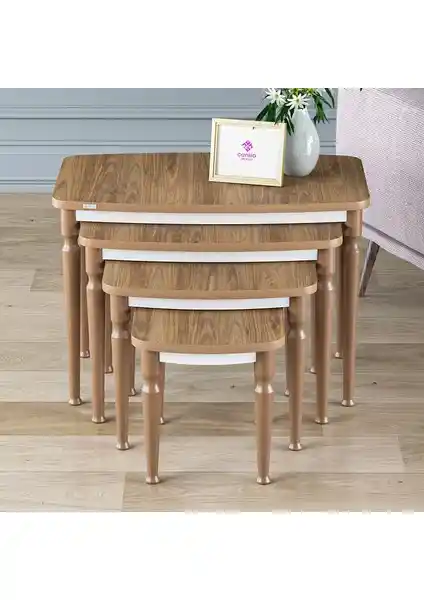 Canisa Tawe Serisi MDF 1. Sınıf 4'lü Zigon Sehpa Takımı Dekorasyonda Şıklık ve Fonksiyonellik