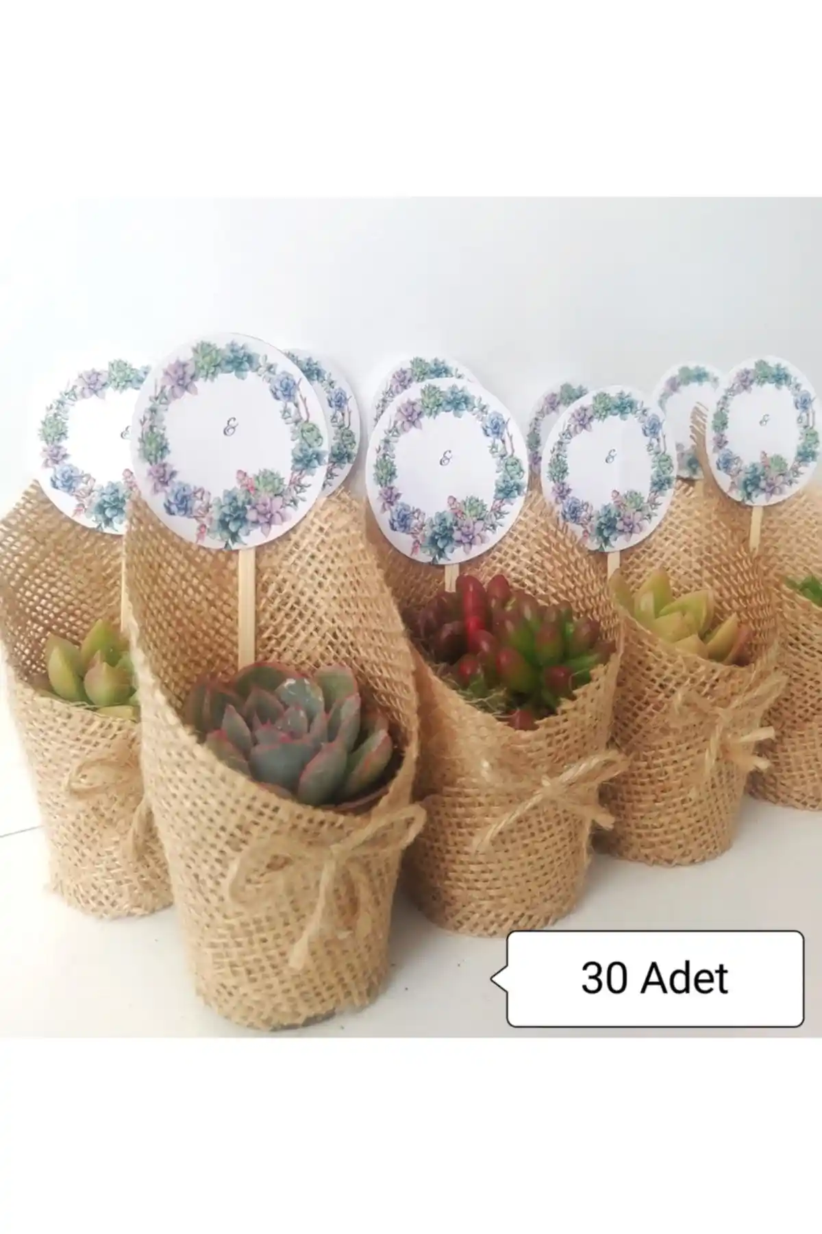 Canlı Çiçeklerle Dekorasyon ve Hediyelik Seçenekler: Doğanın Şıklığını Evinize Taşıyın