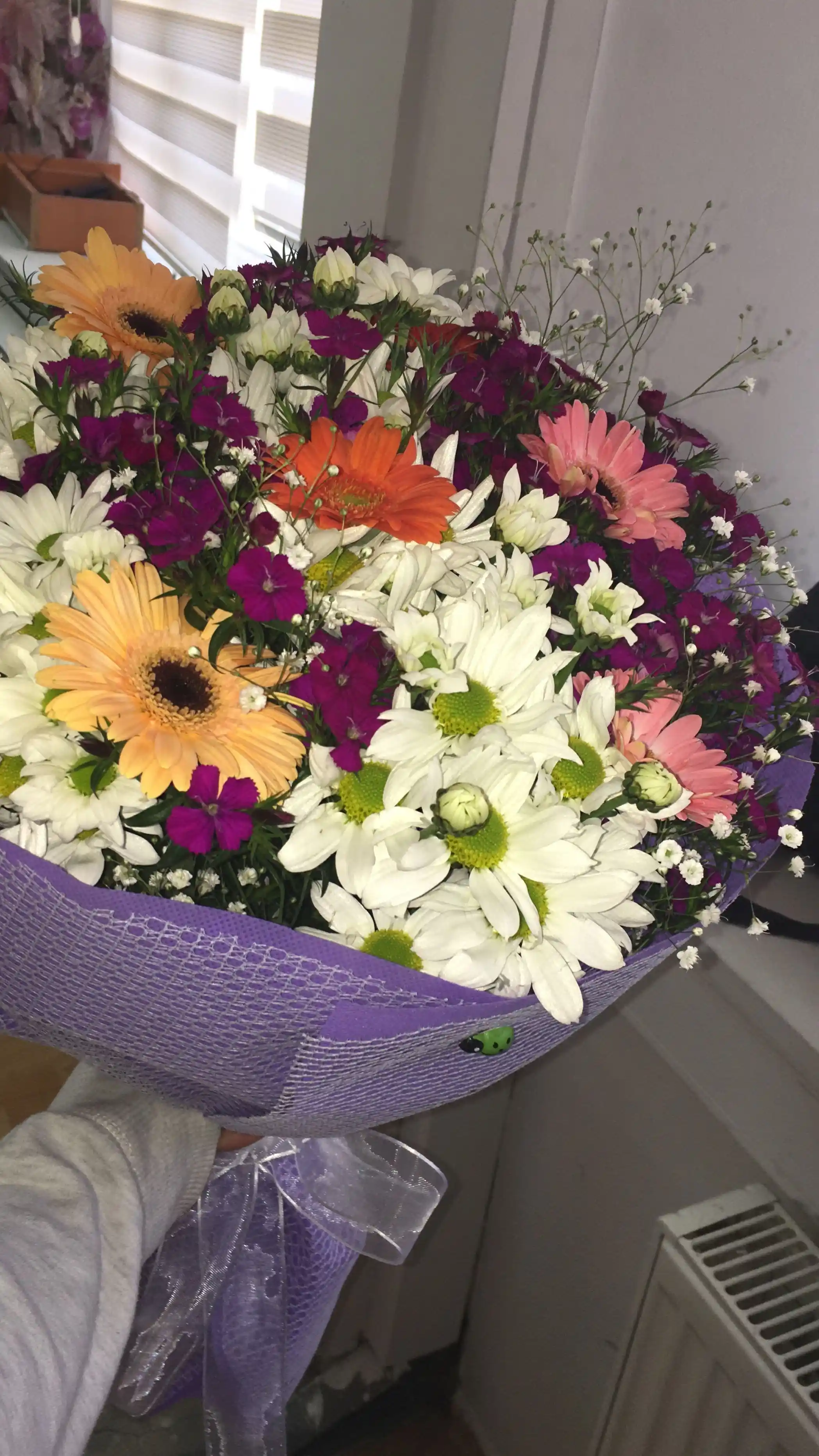 Çiçek Demetleri ve Dekorasyonda Kullanım İpuçları ve Seçim Rehberi