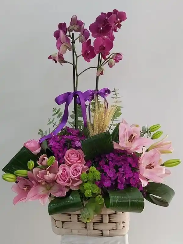 Çiçek Sepeti Orkide ile Dekorasyonun Şıklığını Yükseltin ve Mekanlara Zarafet Katın