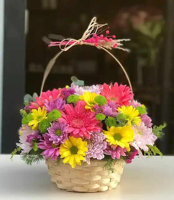 Cocek Sepeti ile Modern ve Doğal Dekorasyon Çözümleri Hakkında Detaylı Bilgi