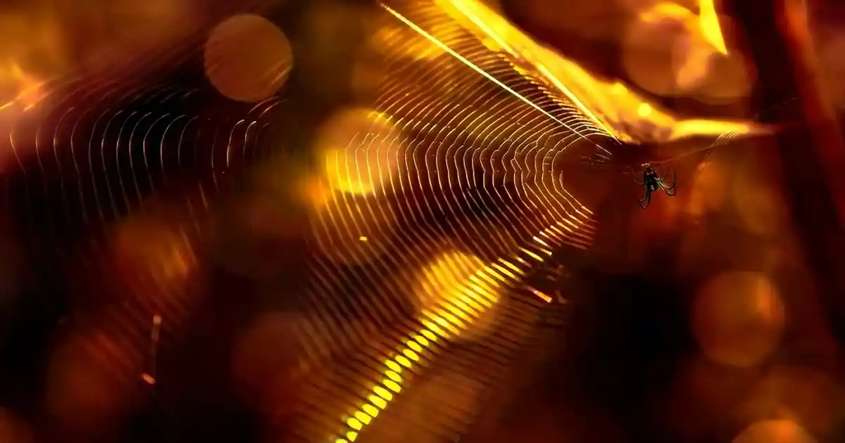 Çocuk ve Bebek Alezleri: Güvenli ve Şık Uyku Ortamları İçin Doğru Seçenekler