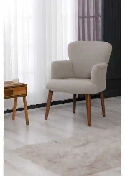 Colormix Berjer Koltuk: Modern Tasarım ve Fonksiyonellik Bir Arada