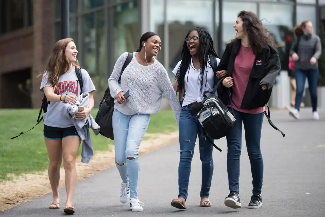 Dama Halı Seçimi ve Dekorasyonda Kullanım İpuçları