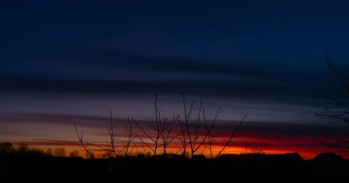 Değişik vestiyer modelleriyle giriş alanlarınızı şıklık ve fonksiyonellik bir arada tasarlayın