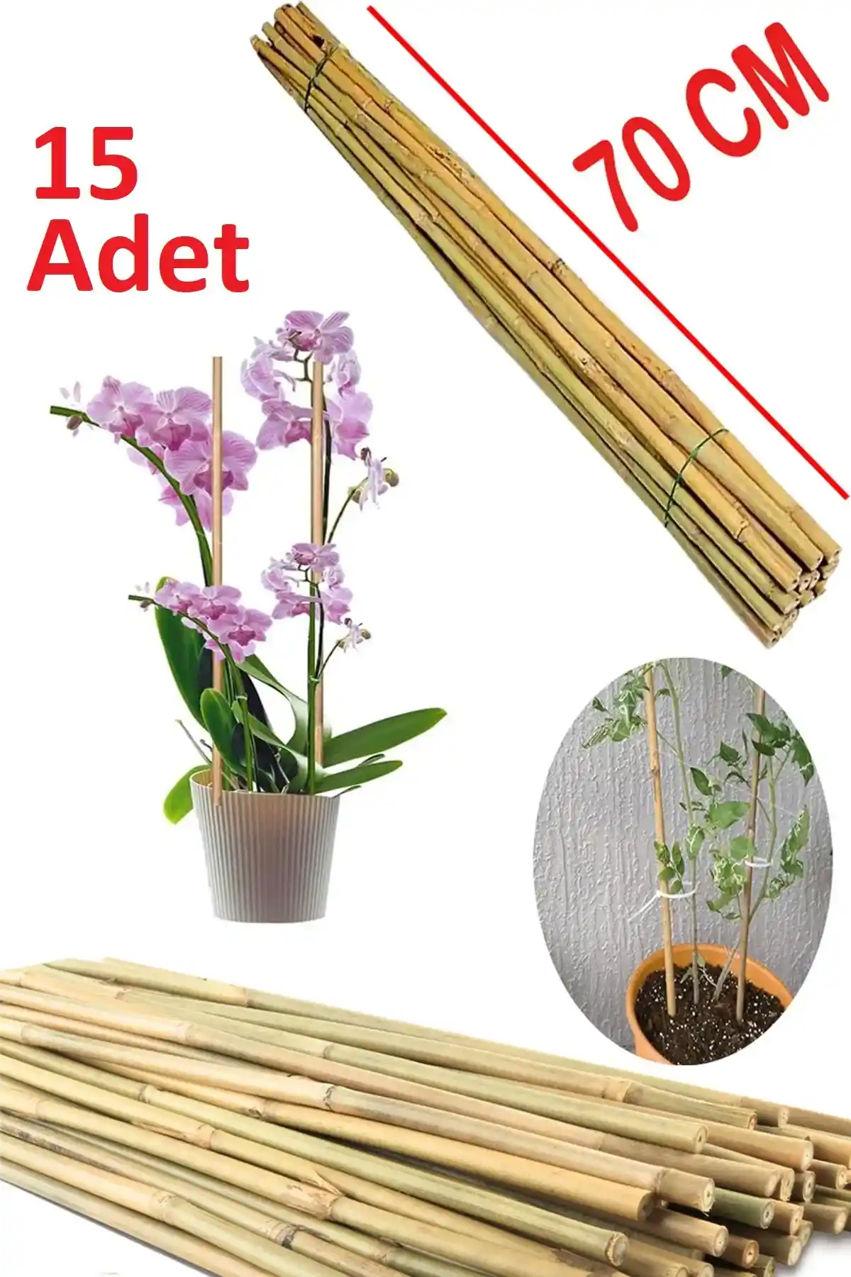 Dekorasyonda Bitki Destek Çubuğu: Doğal Şıklık ve İşlevsellik İçin En Uygun Seçenekler