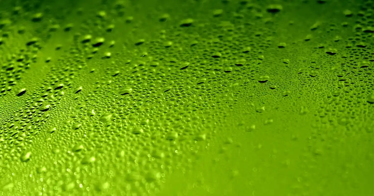 Dekorasyonda Çarpıcı Bir Dokunuş: Choker Kolye ve Farklı Kullanım Alanları