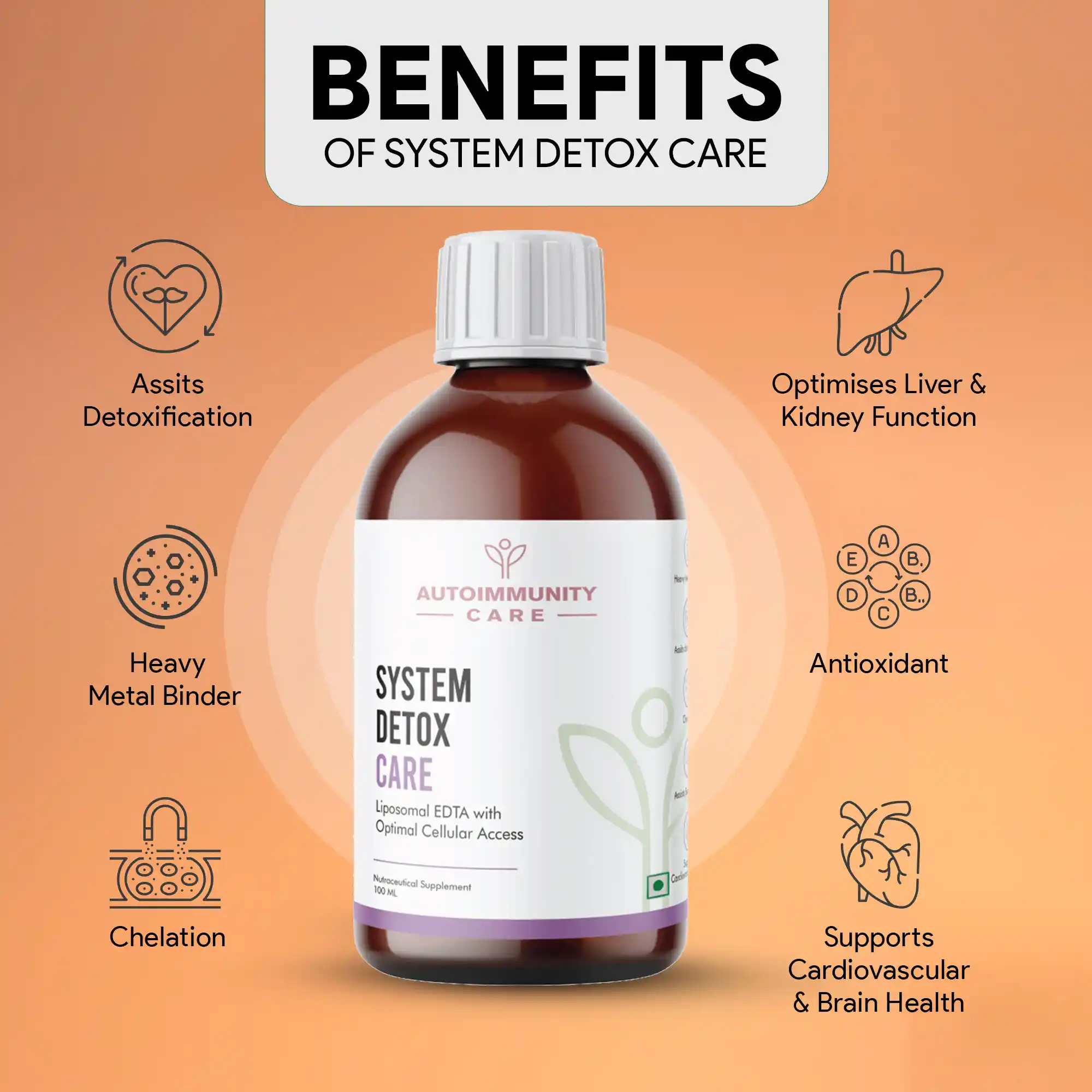 Dekorasyonda Detoks ve Sağlıklı Yaşamın Yansımaları: Doğal ve Ferah Mekanlar Yaratma Rehberi