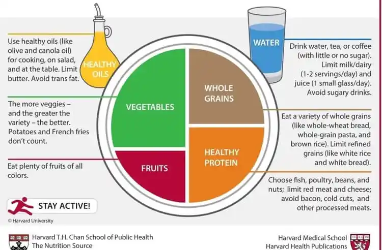 Dekorasyonda Fark Yaratacak Beslenme Tabağı Seçenekleri ve Tasarım İpuçları