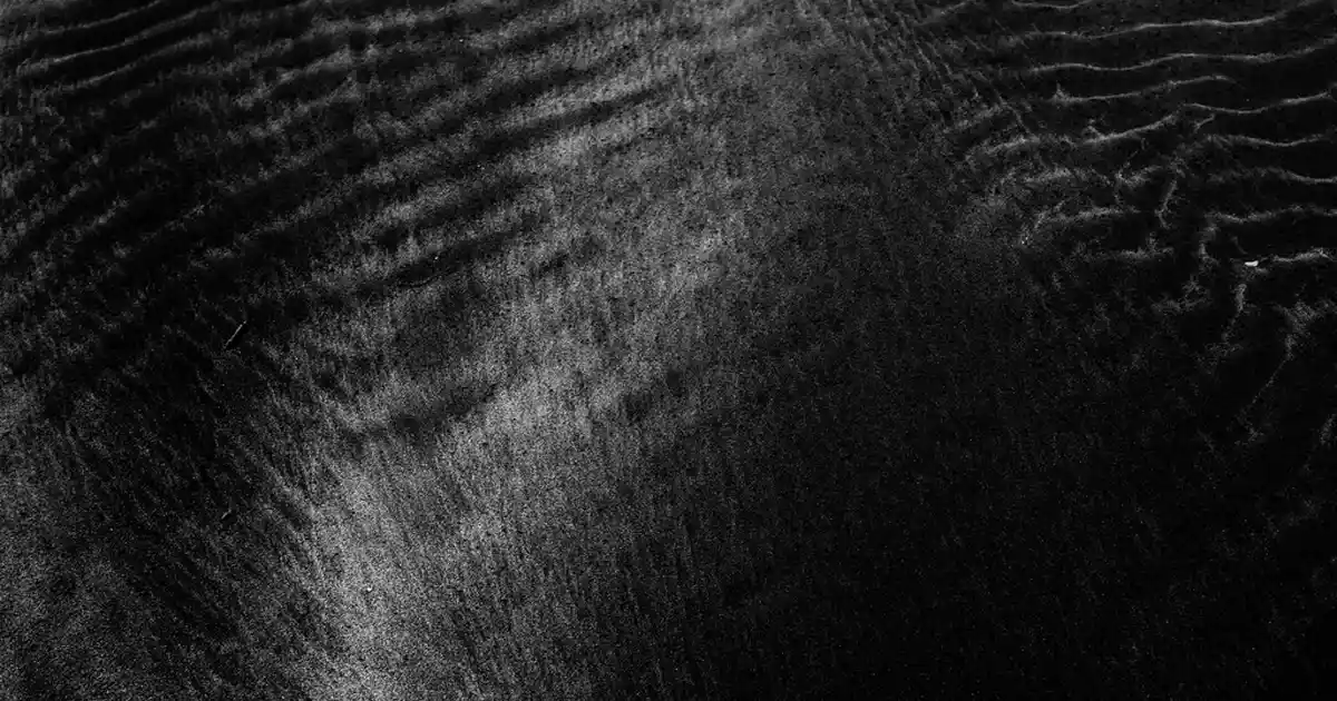 Dekorasyonda Şık ve İşlevsel Karaca Animal Cat Kupa ile Sıcak Atmosfer Yaratın