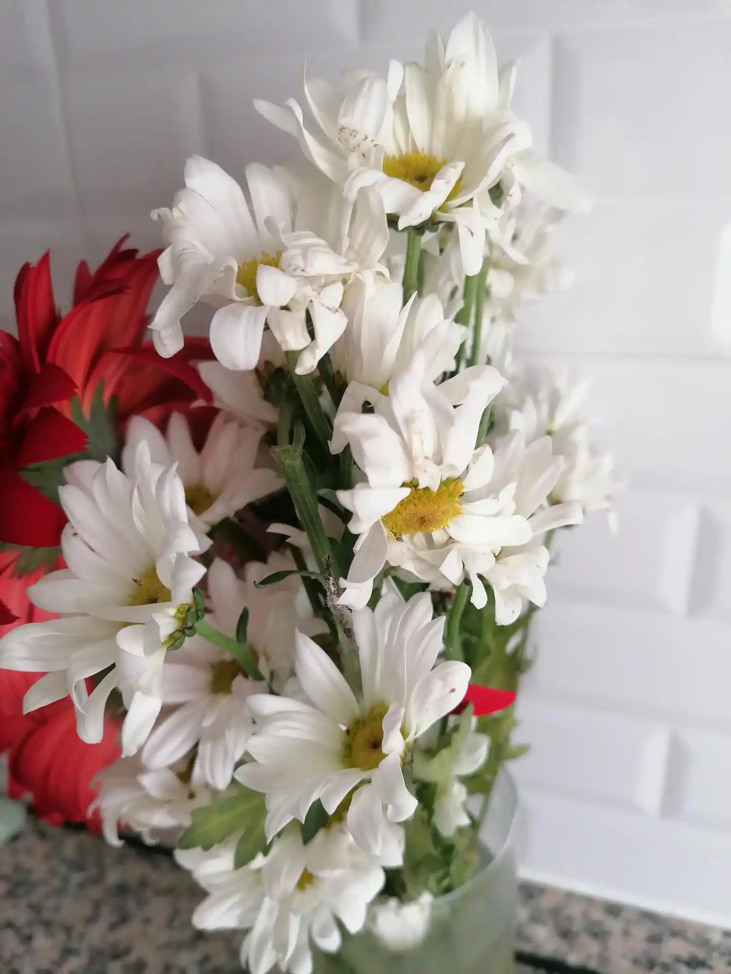 Dekorasyonda Uygun Çiçek Seçimi ve Çiçeksepeti ile Şık Dekorasyon Fikirleri