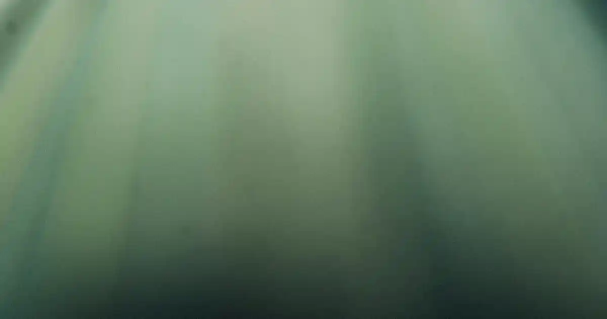 Dekorasyonun Gücü: Estetik ve Fonksiyonelliğin Buluştuğu Modern Yaşam Alanları