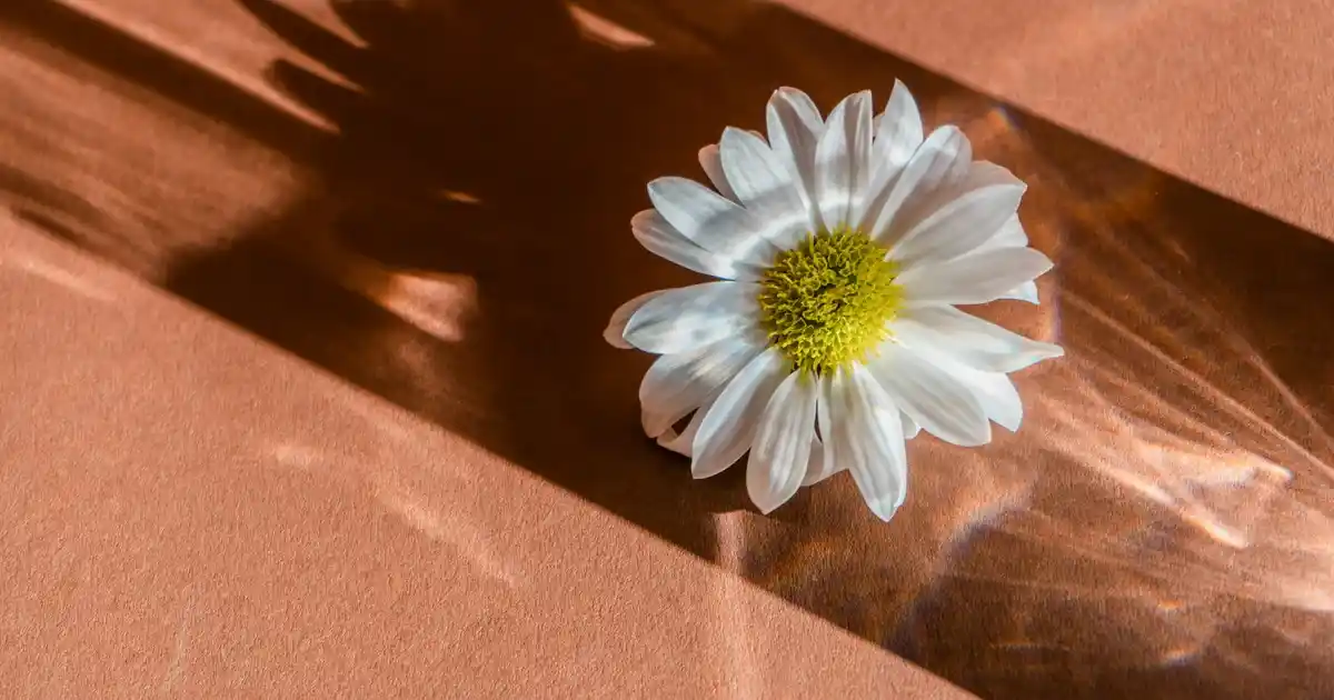 Dekoratif Abajurlar ile Evinize Şıklık ve Fonksiyonellik Katmanın Yolları