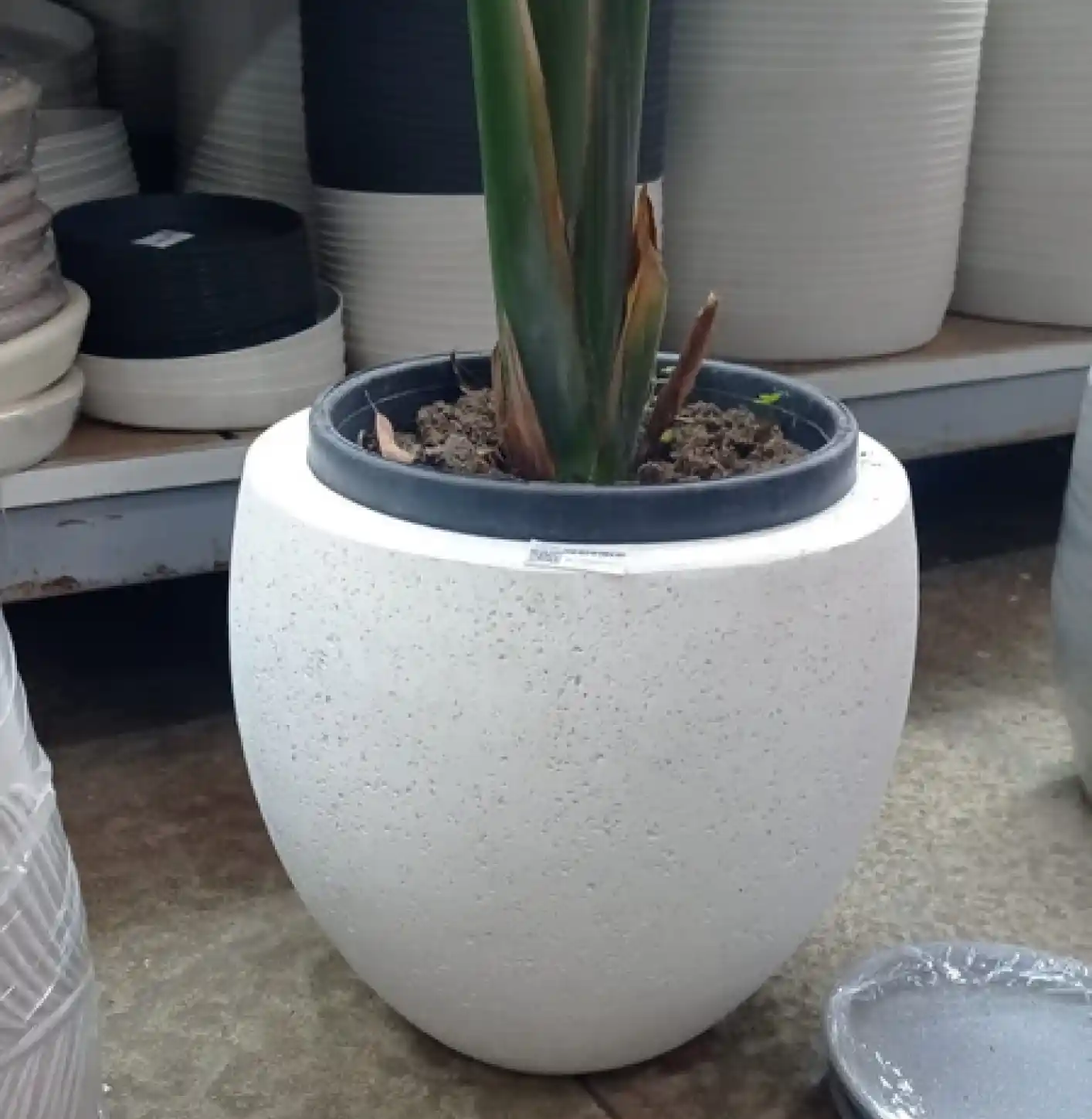 Dekoratif Büyük Saksılar ile Mekânlarınızı Yeniden Şekillendirin ve Estetik Katın