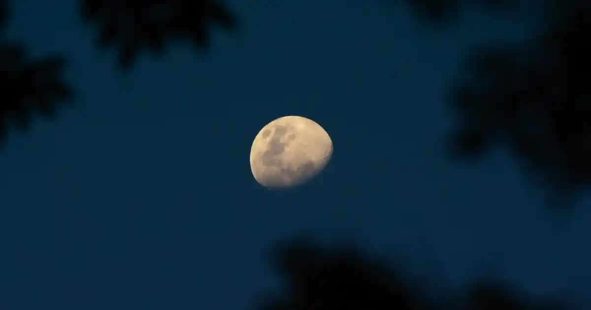 Dekoratif Duvar Aksesuarlarıyla Evinize Şıklık ve Estetik Katma Rehberi