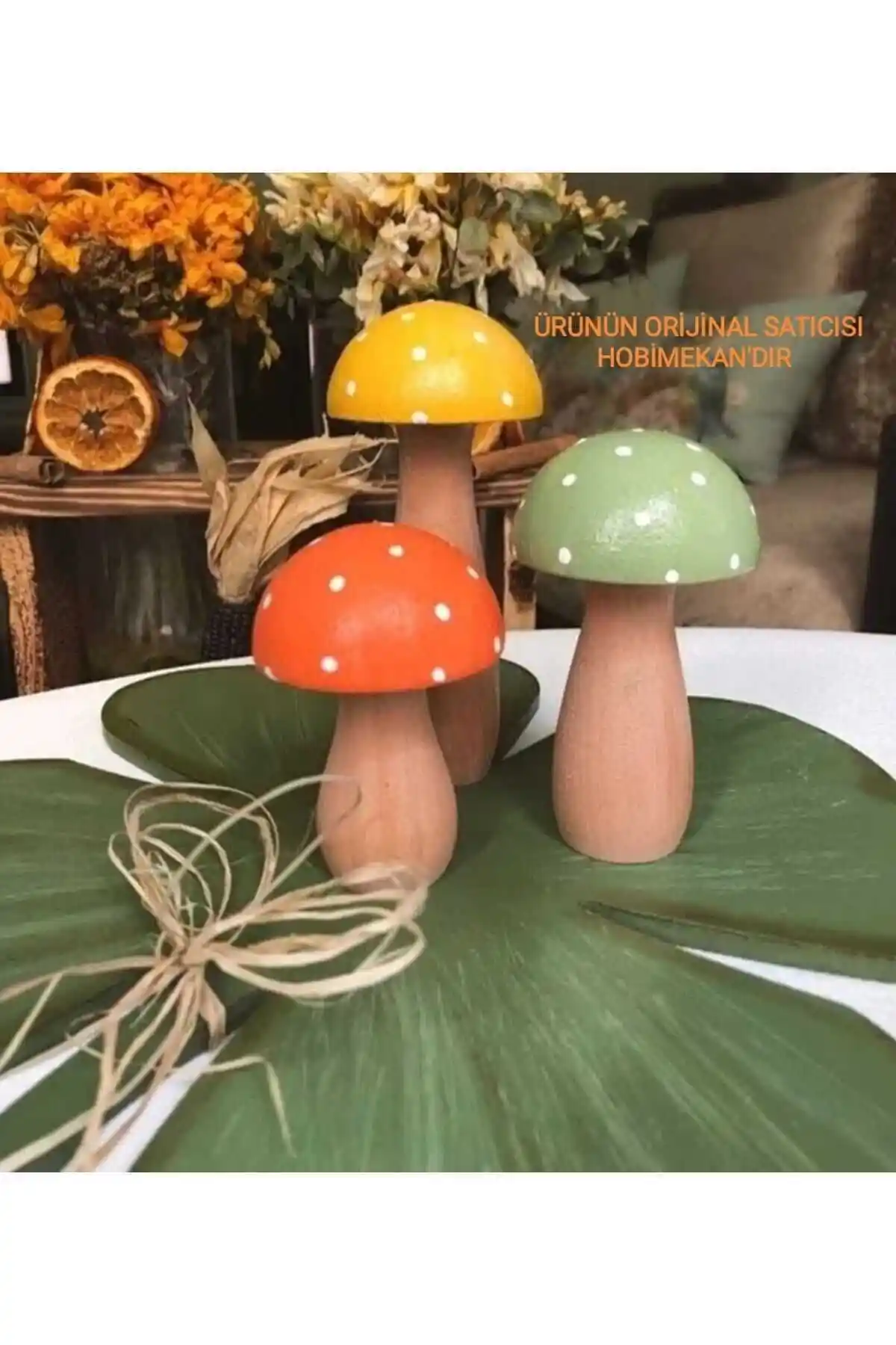 Dekoratif Mantar Kullanımıyla Doğal ve Estetik İç Mekan Tasarımları